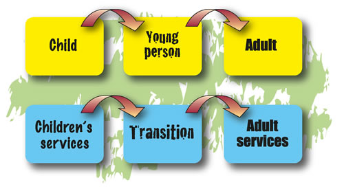 Transition Process